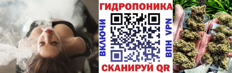 Наркотические вещества Славгород МЕТАДОН  гидра tor  Галлюциногенные грибы  Гашиш 