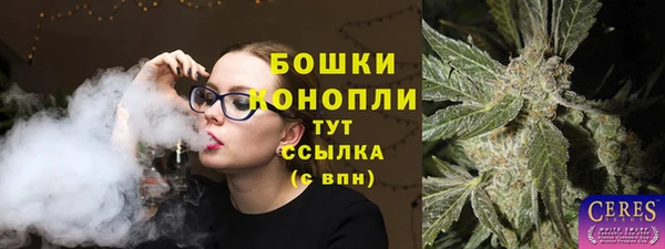 прущие грибы Богданович