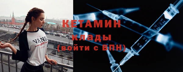 прущие грибы Богданович