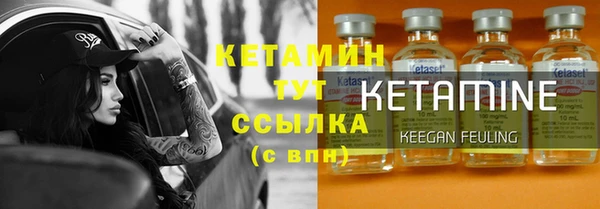 прущие грибы Богданович