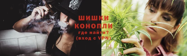 прущие грибы Богданович