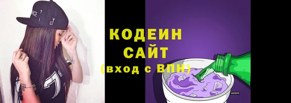 прущие грибы Богданович