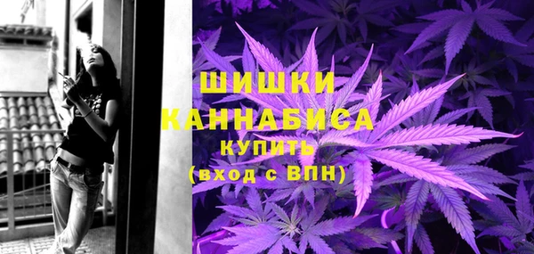 дживик Богородск