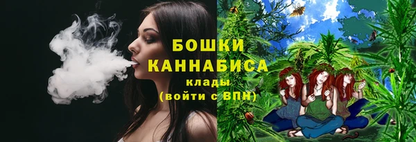 прущие грибы Богданович
