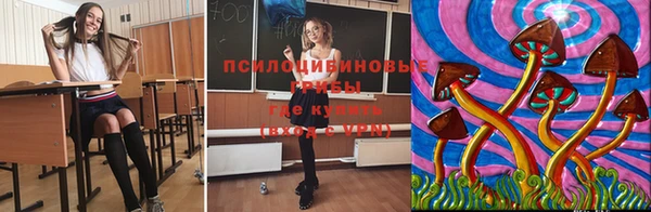 a pvp Белоозёрский