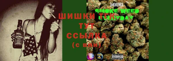 прущие грибы Богданович