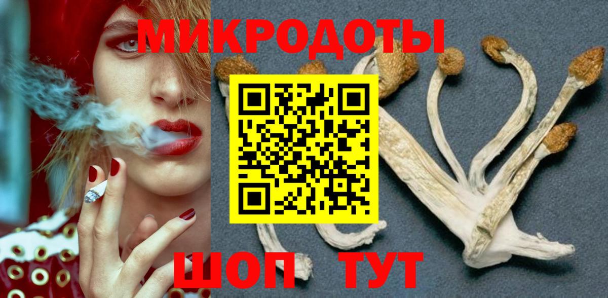 Галлюциногенные грибы ЛСД  как найти наркотики  Славгород  Вход с VPN 